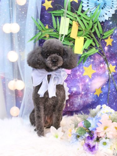 20250715ボーロくん